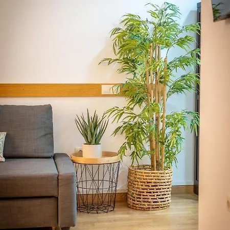 Historic Centre Mitjana Appartement